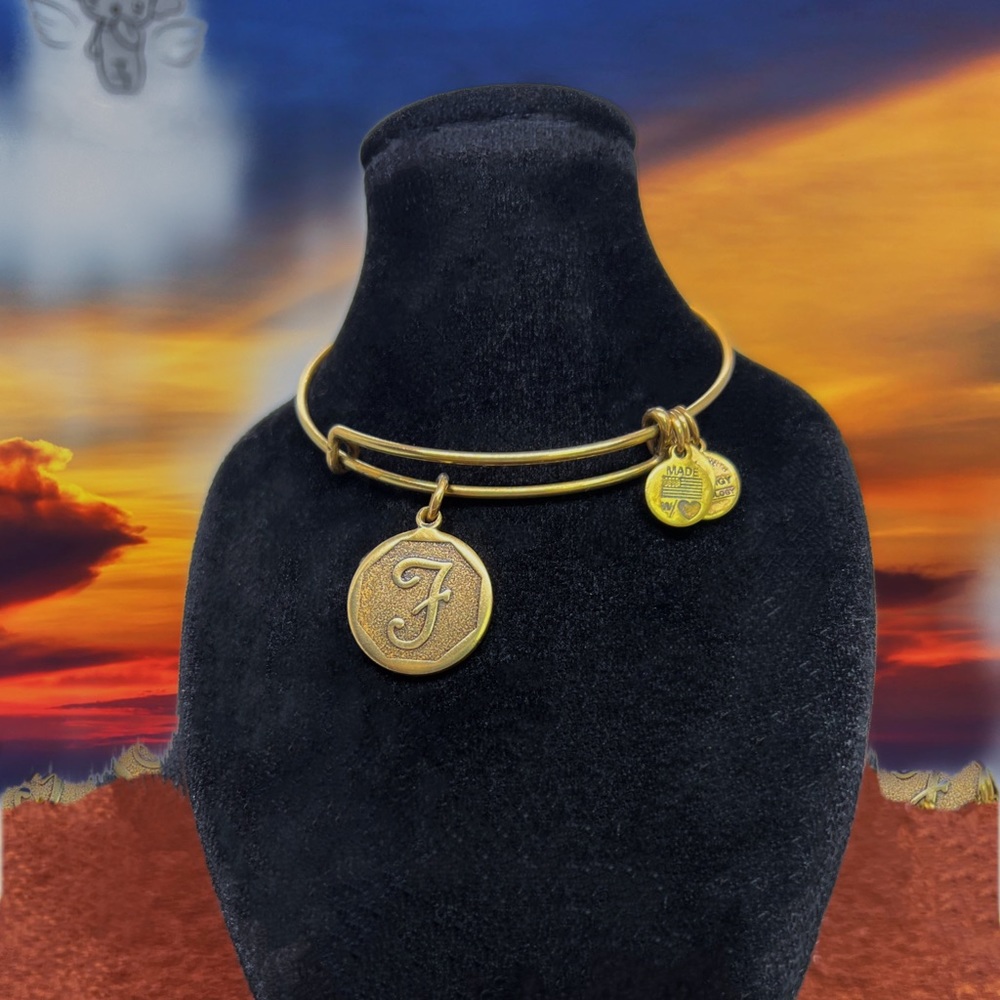 Alex and Ani Brass Bangle Fashion Bracelet